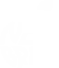 Newbrain logo