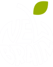 NEW BRAIN